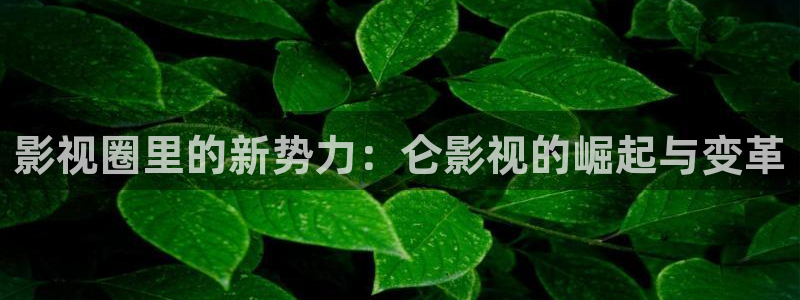 国产夫妻超碰：影视圈里的新势力：仑影视的崛起与变革