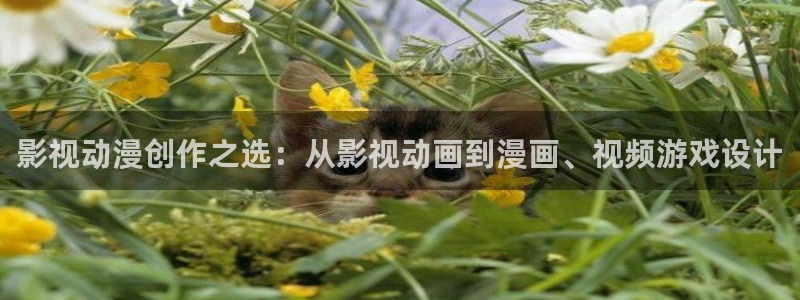 97超碰免费：影视动漫创作之选：从影视动画到漫画、视频游戏设计