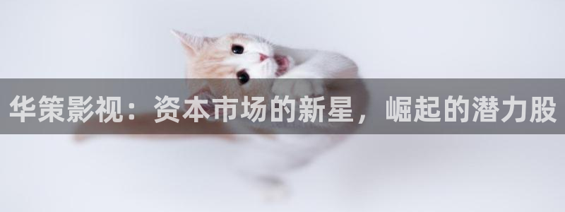 91在线超碰在线：华策影视：资本市场的新星，崛起的潜力股