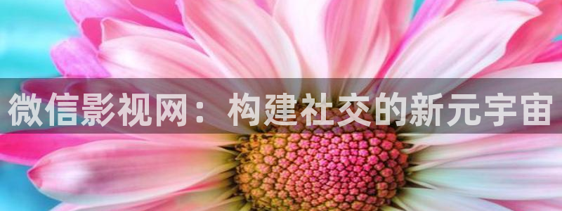 超碰 在线免费：微信影视网：构建社交的新元宇宙