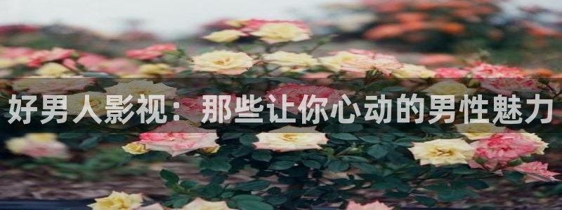 青青草在线超碰