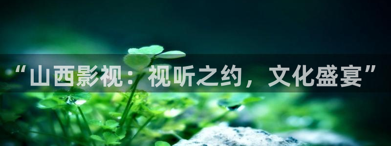 97超碰在线观看最新