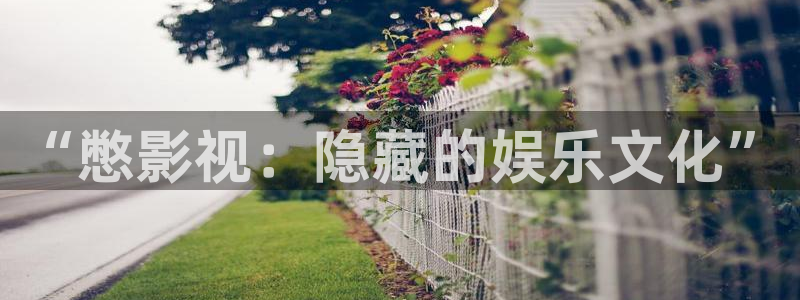 超碰在线观看地址：“憋影视：隐藏的娱乐文化”