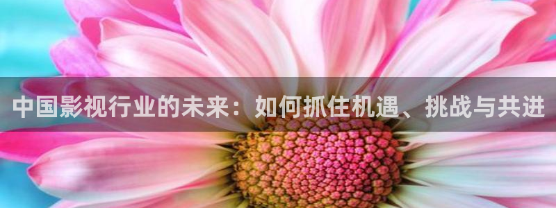 超碰色人格在线
