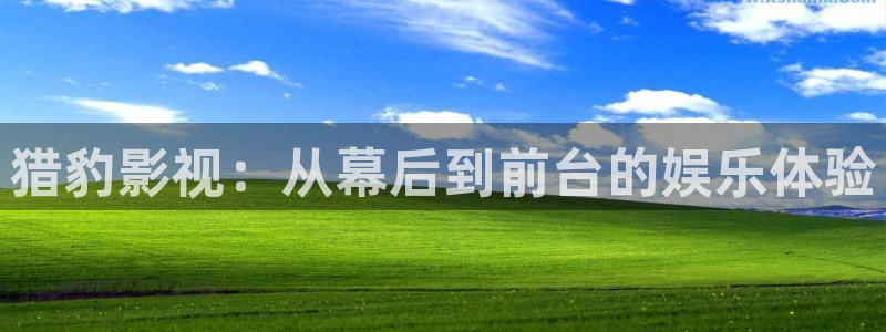 超碰91在线播放：猎豹影视：从幕后到前台的娱乐体验