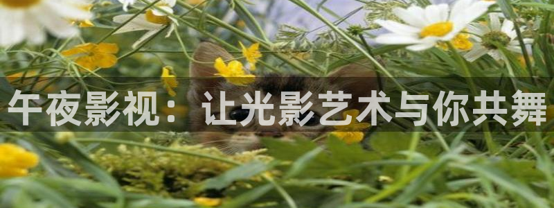 超碰caoporon：午夜影视：让光影艺术与你共舞