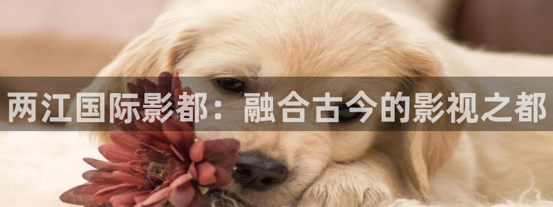 97成人超碰在线：两江国际影都：融合古今的影视之都